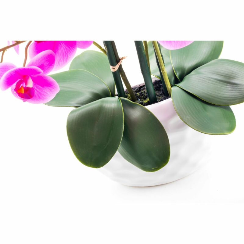Orchidee groß lila Blüte und weißer Topf - 58cm · Grüner Laden