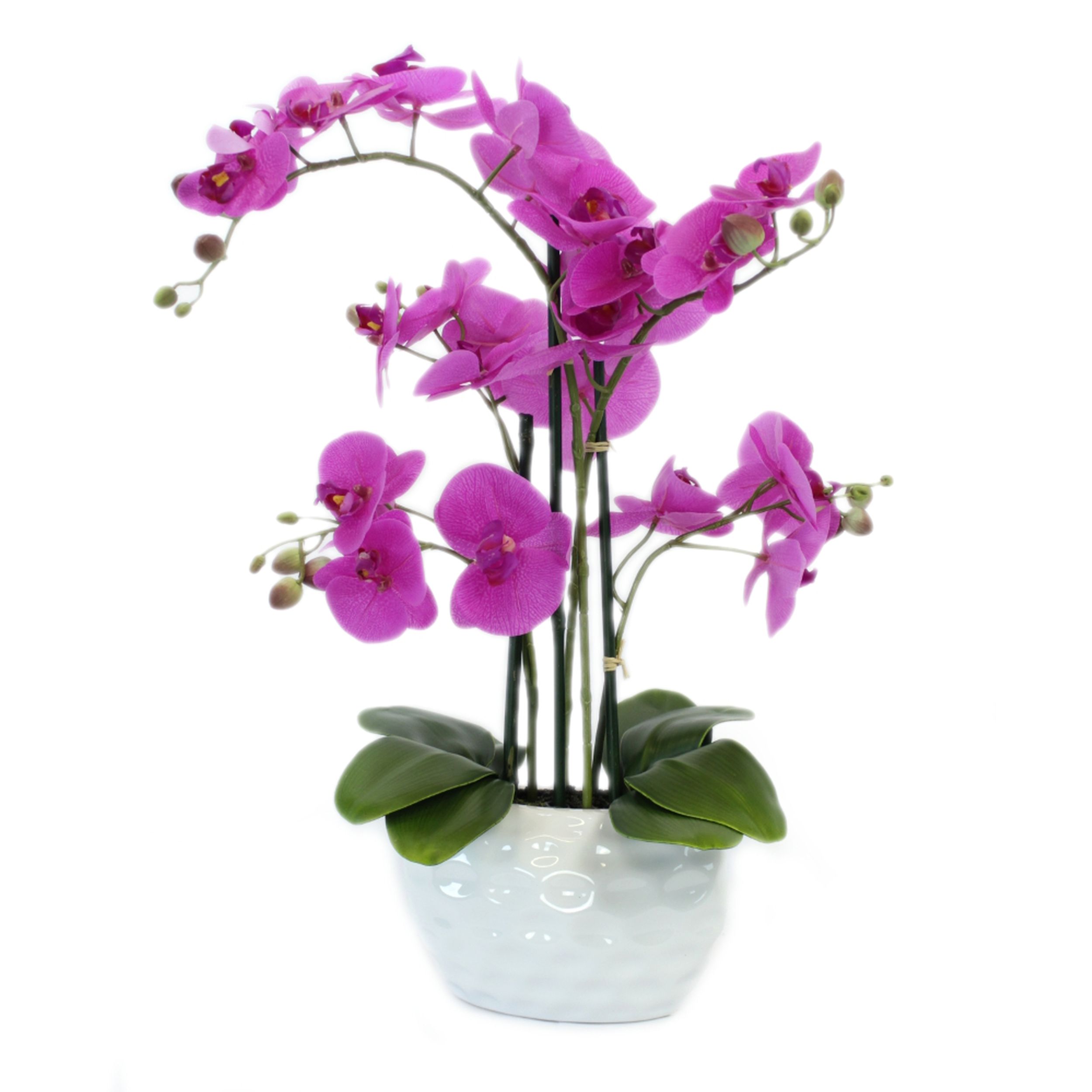 Blüte - Laden Grüner groß und Topf weißer lila Orchidee · 58cm