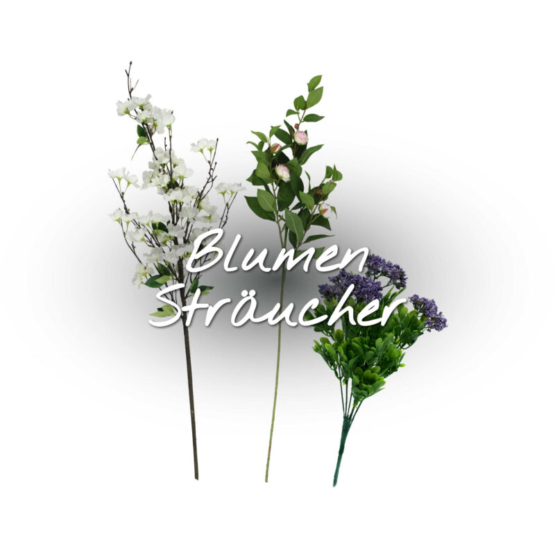 Blumen & Sträucher