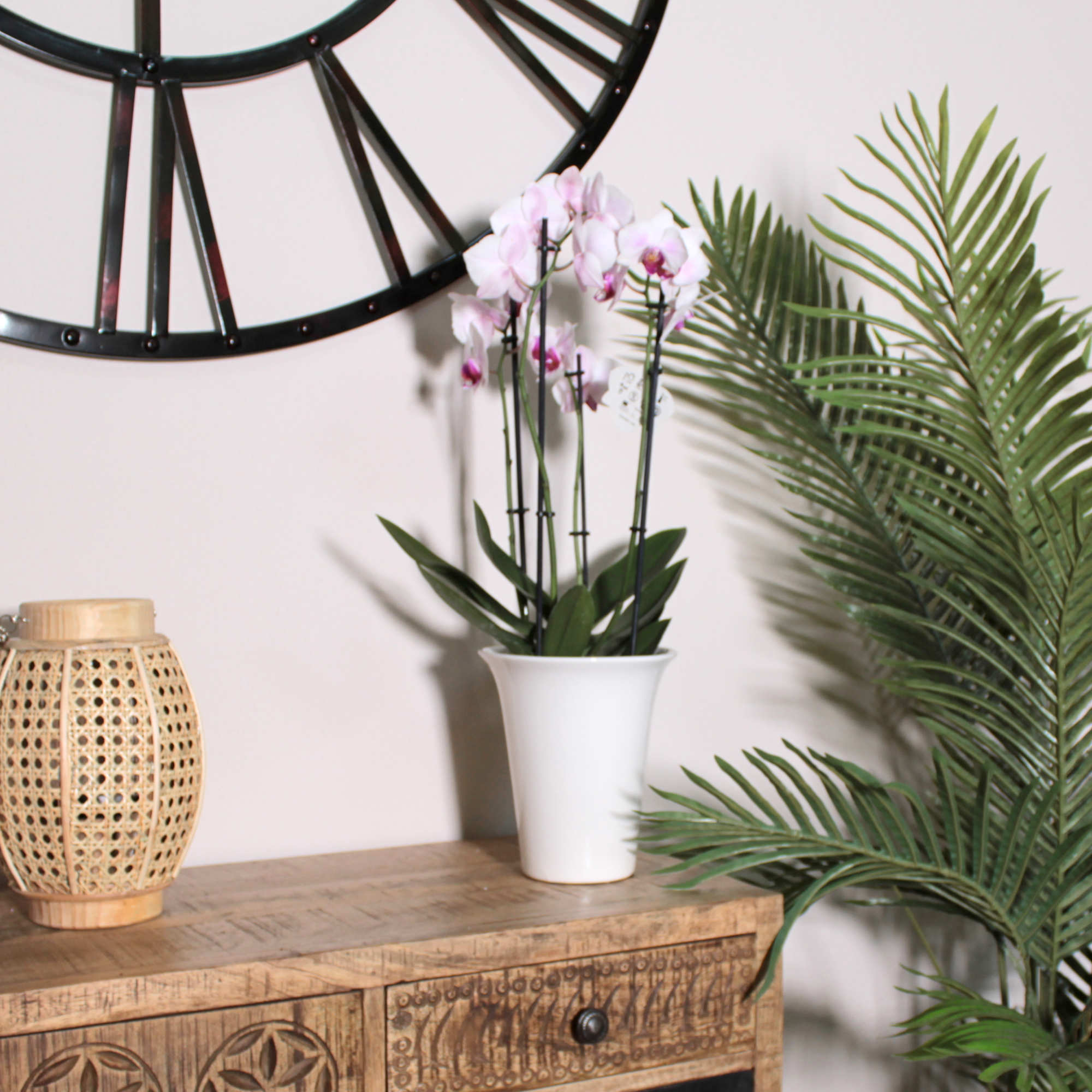 2662-Szene 2662-Szene