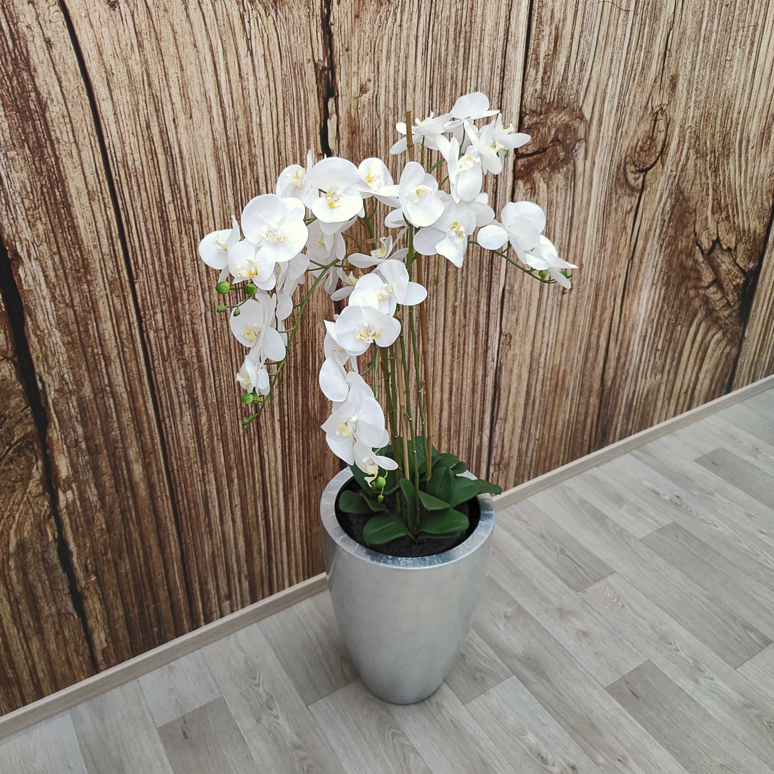 3935-Szene-1 3935-Szene-1