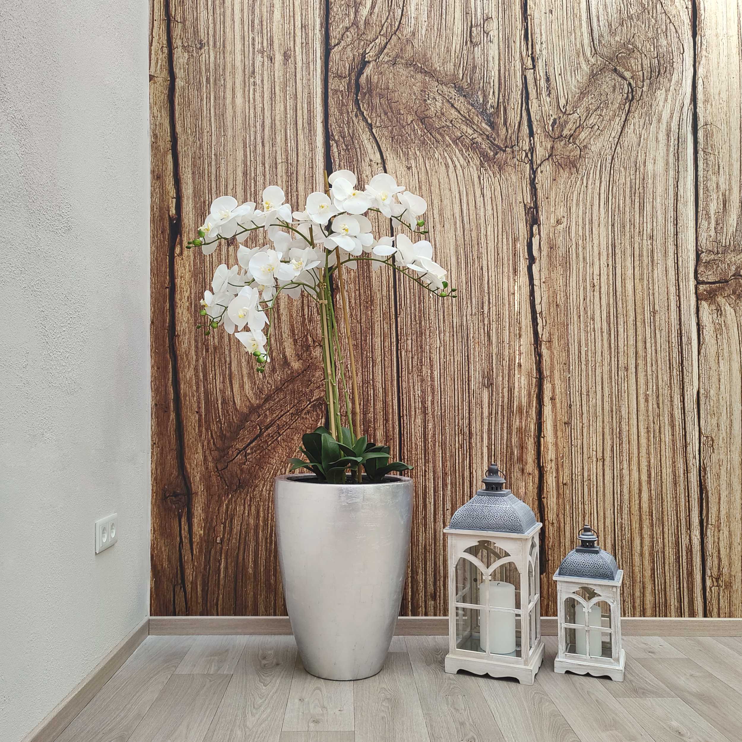 3935-Szene-2 3935-Szene-2