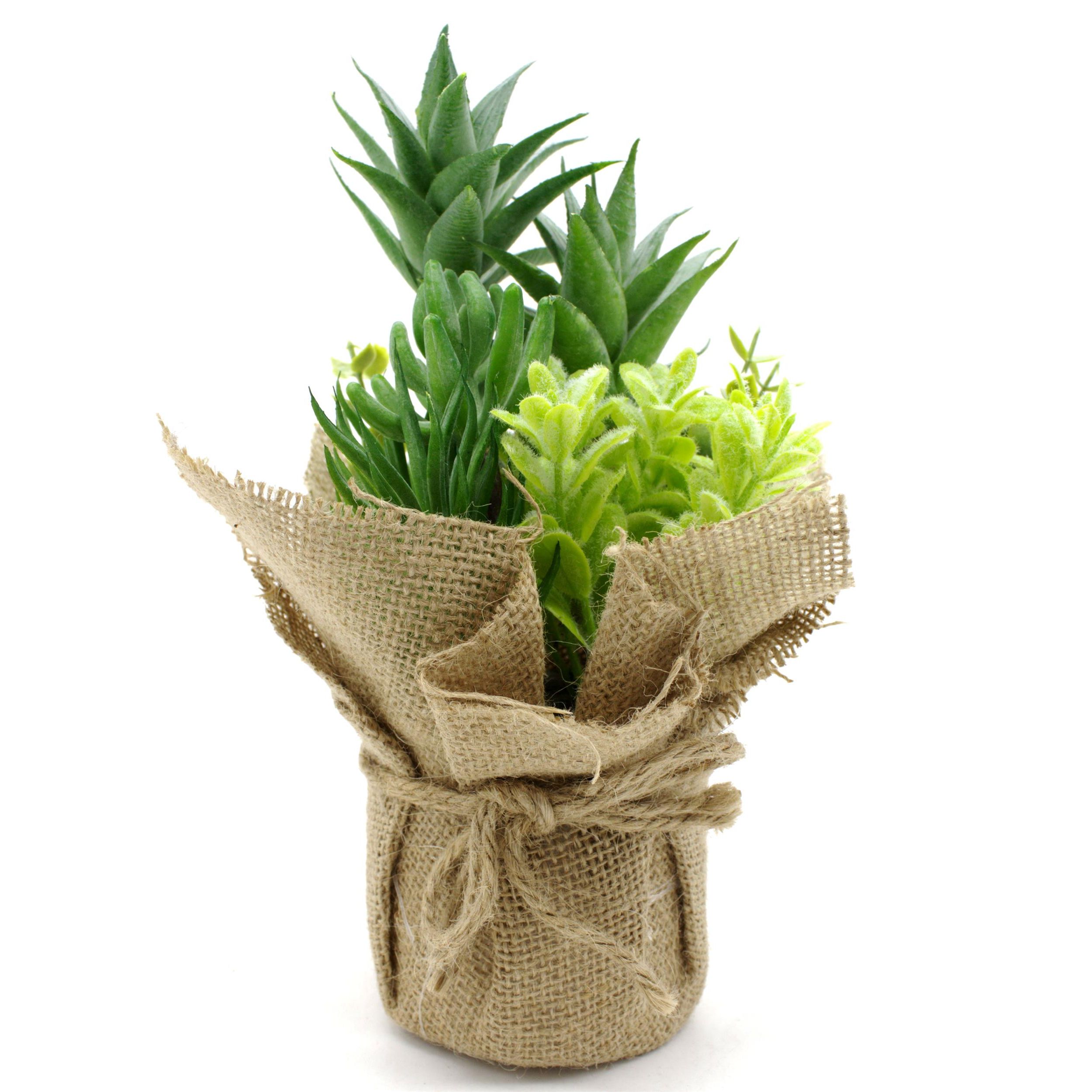 4663-1er-1 4663-1er-1