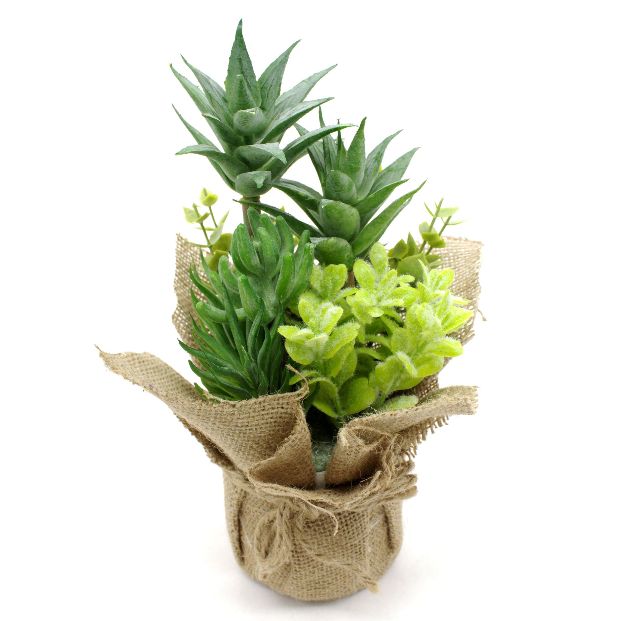 4663-1er-2 4663-1er-2