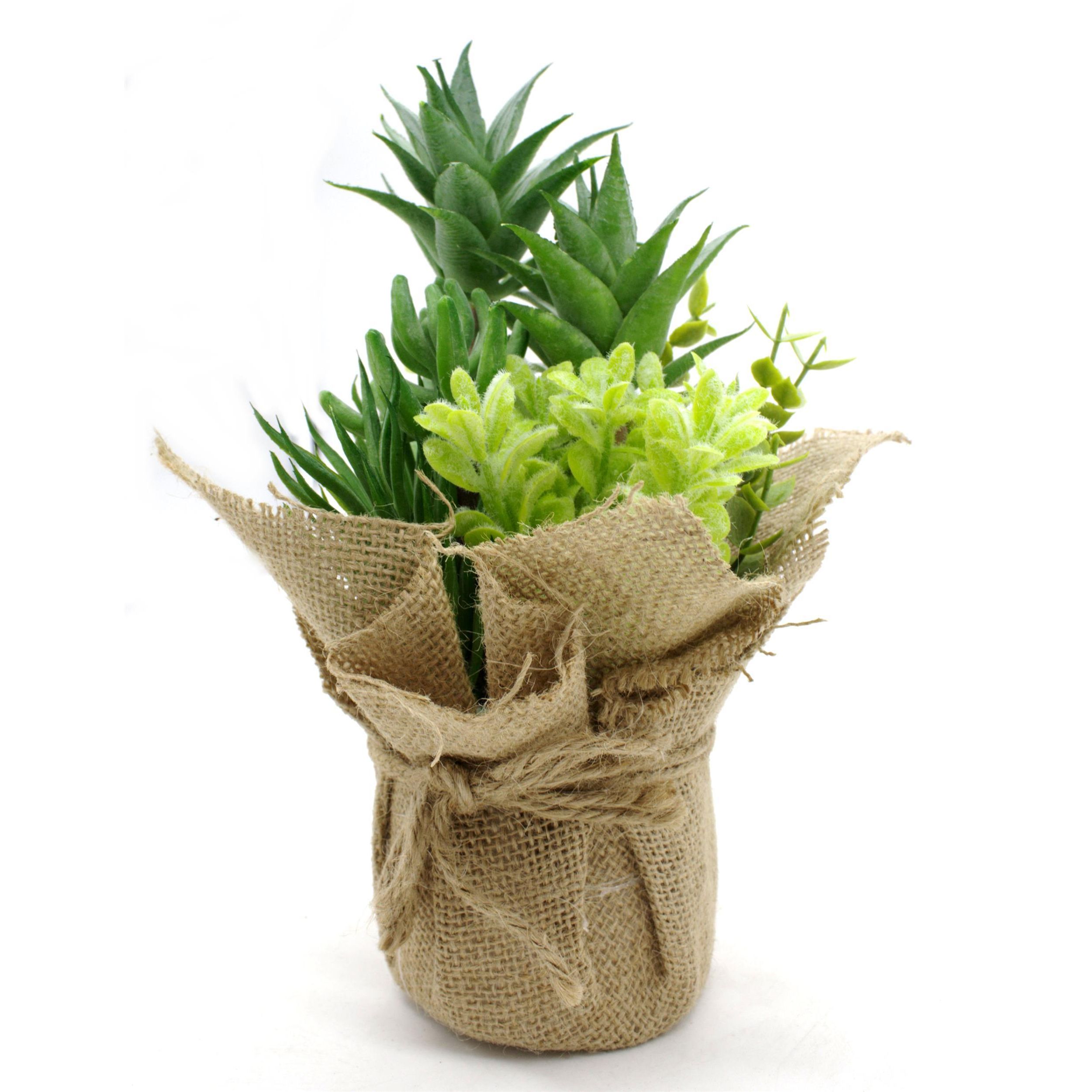 4663-1er-3 4663-1er-3