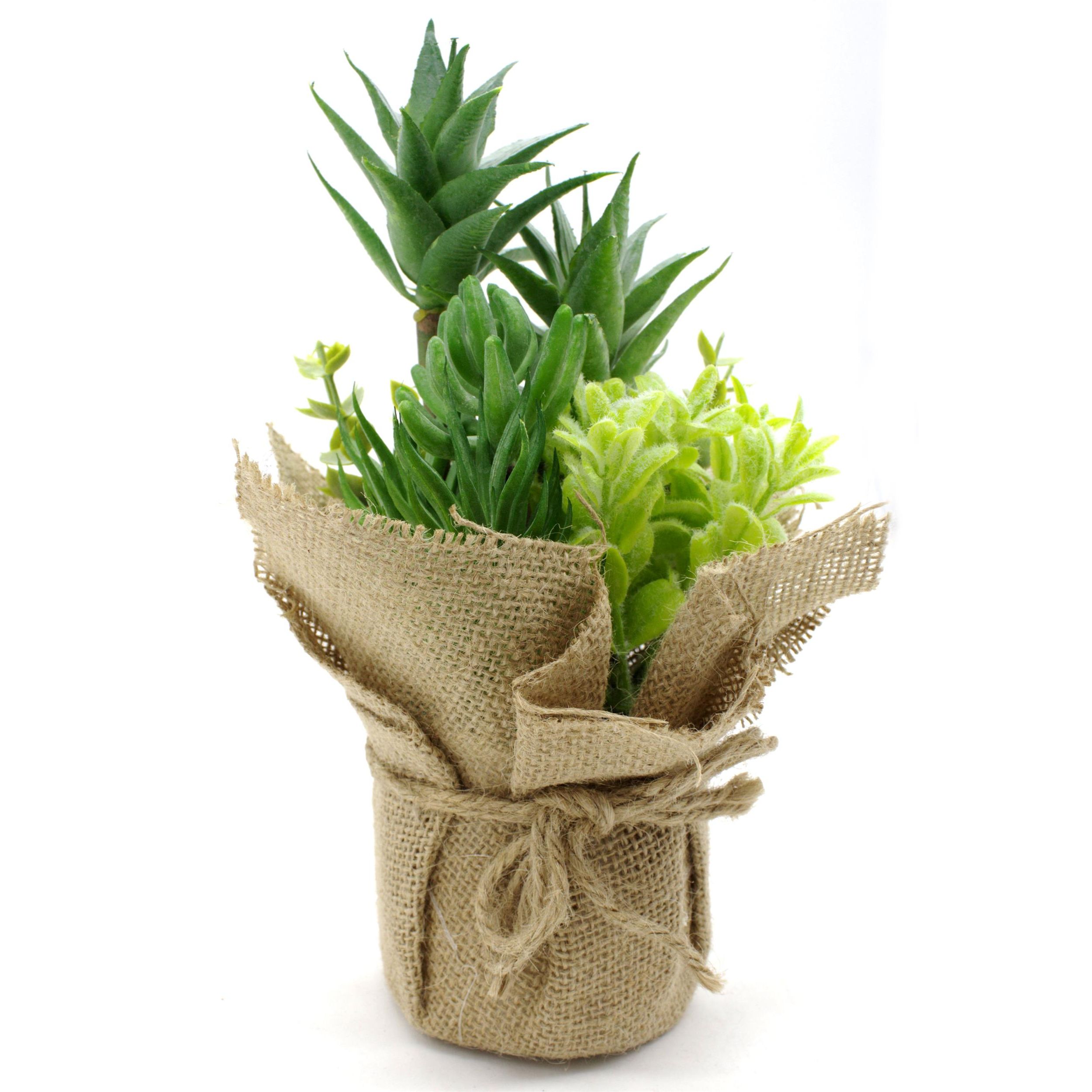 4663-1er-4 4663-1er-4