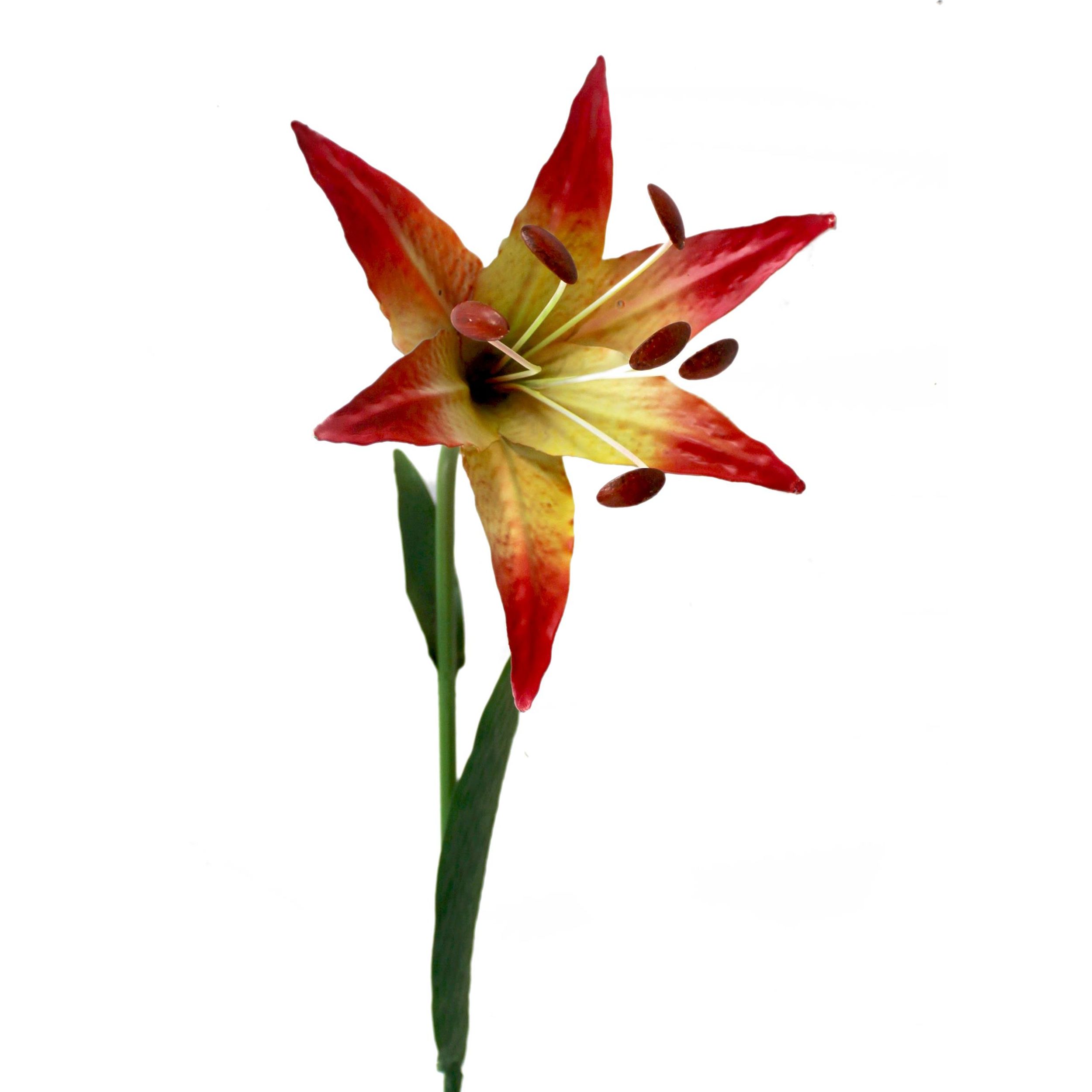 4690-1er-4 4690-1er-4