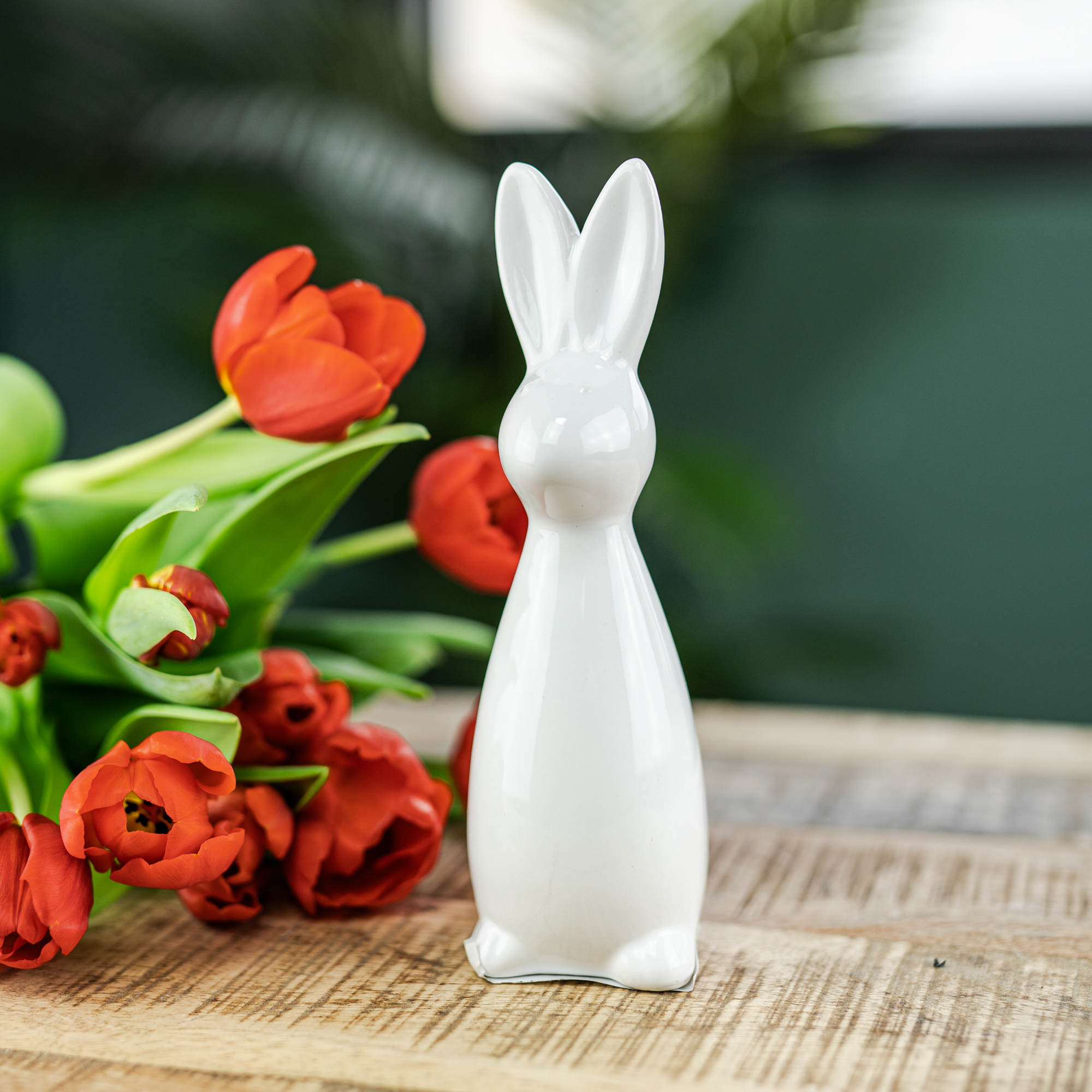 DSC09878-2 DSC09878-2