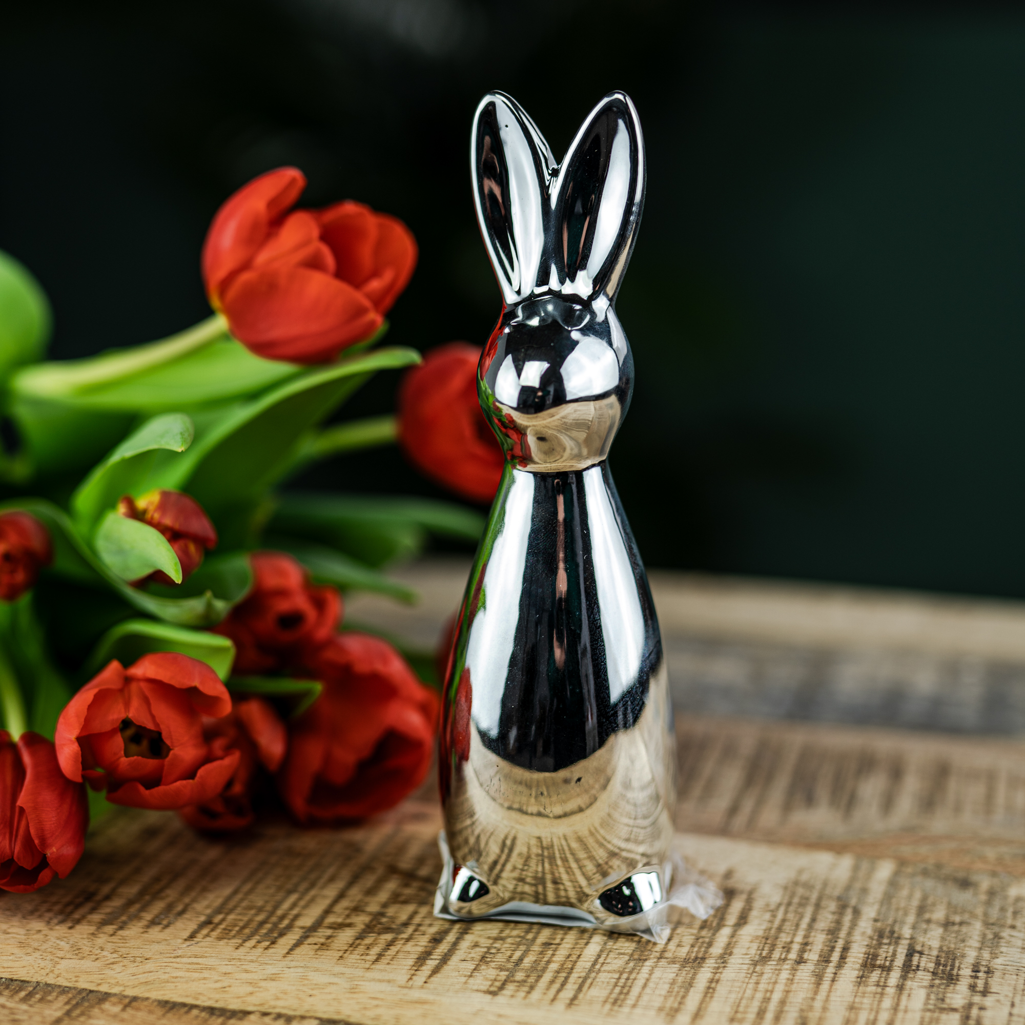 DSC09900-2 DSC09900-2