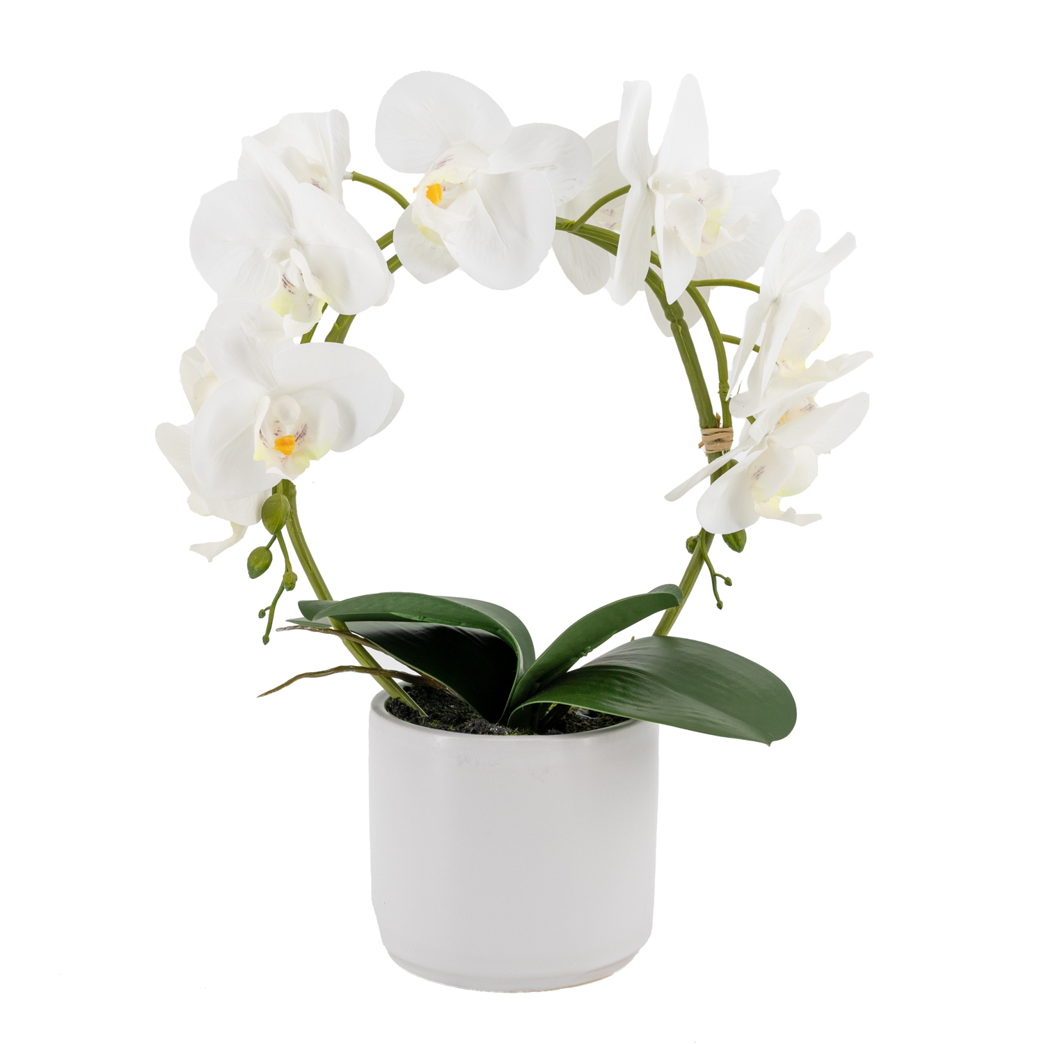 JG9A1595-Bearbeitet JG9A1595-Bearbeitet