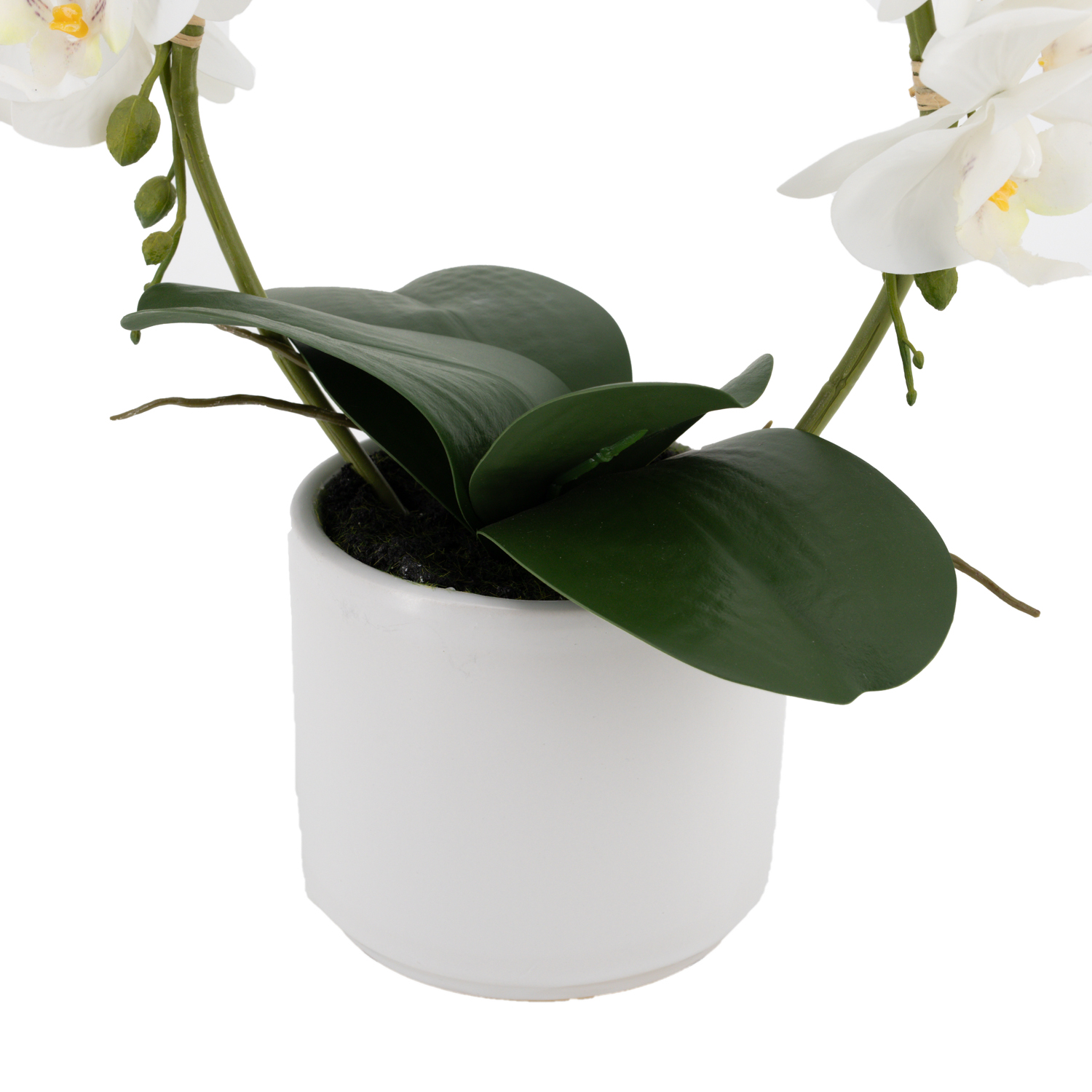 JG9A1598-Bearbeitet JG9A1598-Bearbeitet