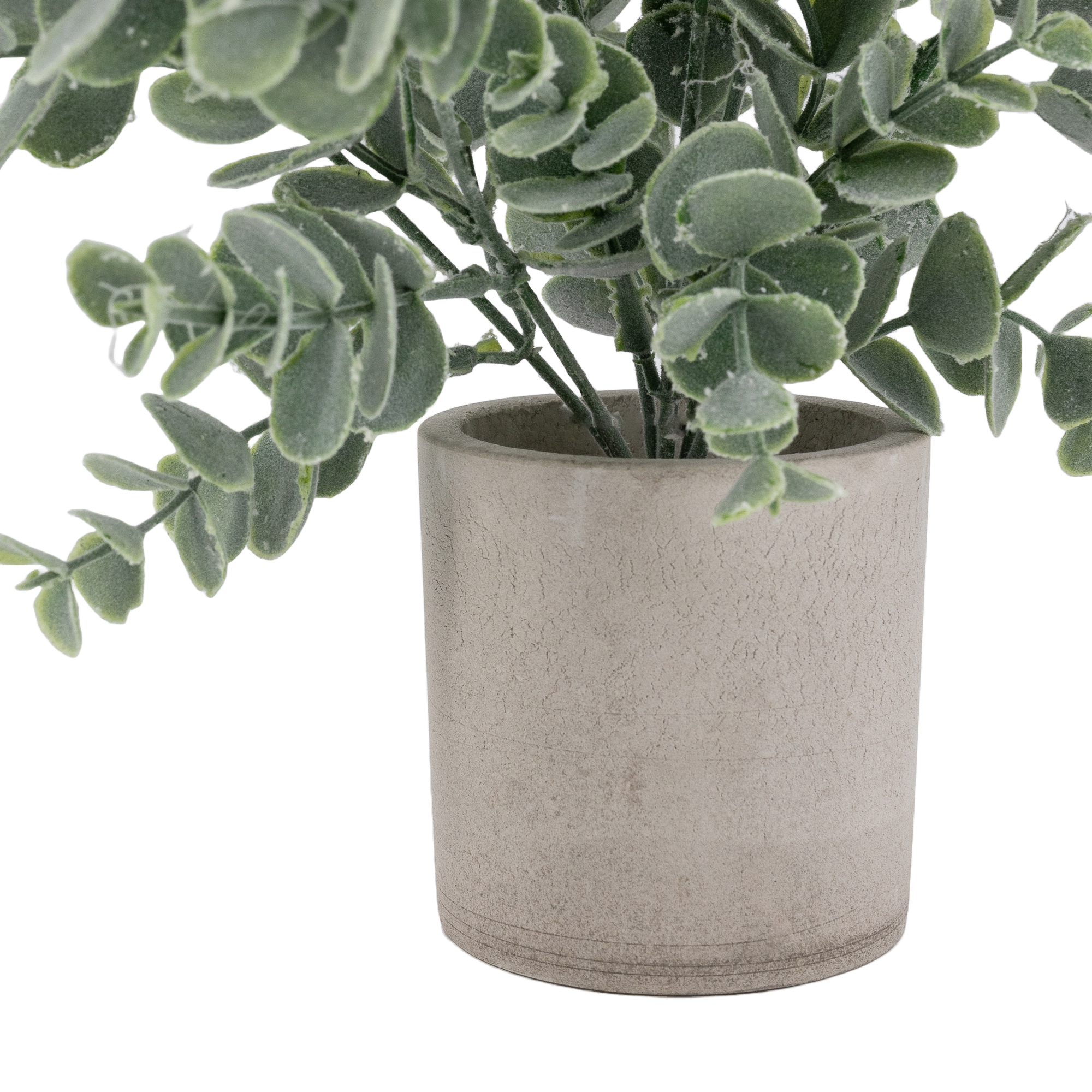 Projekt „Hintergrund entfernen“ (10)