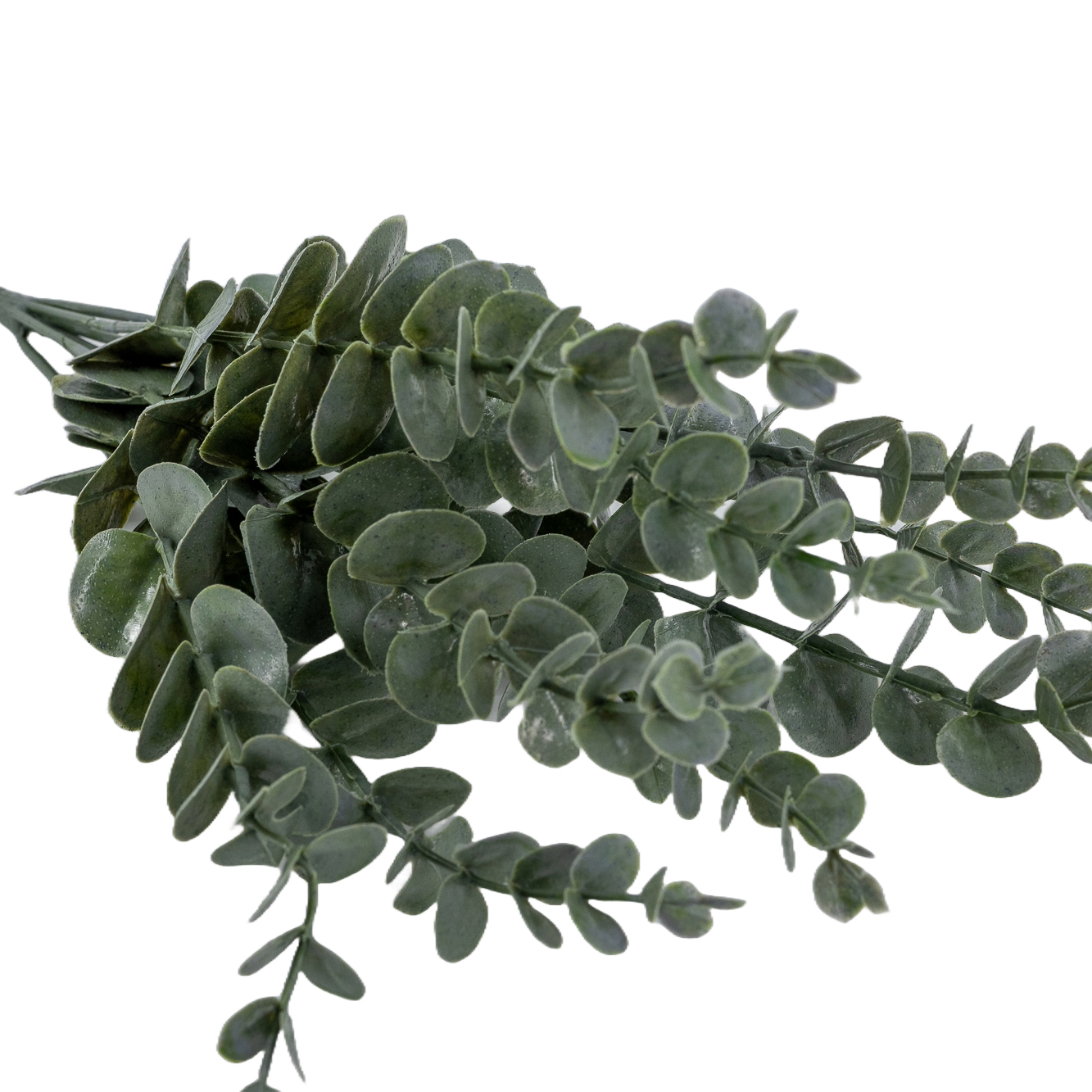 Projekt „Hintergrund entfernen“ (2)