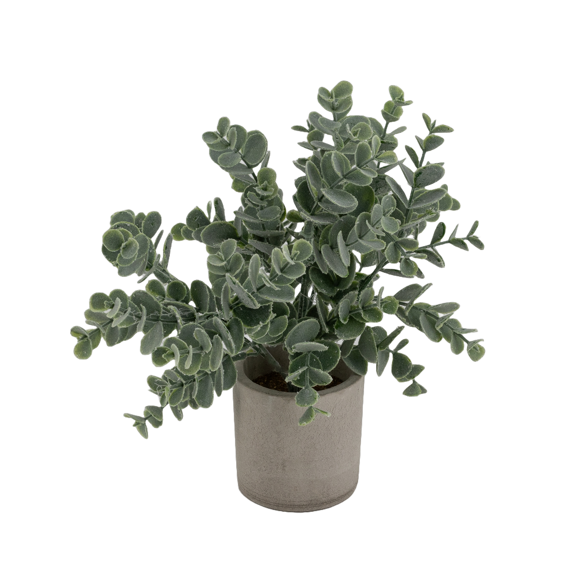 Projekt „Hintergrund entfernen“ (8)