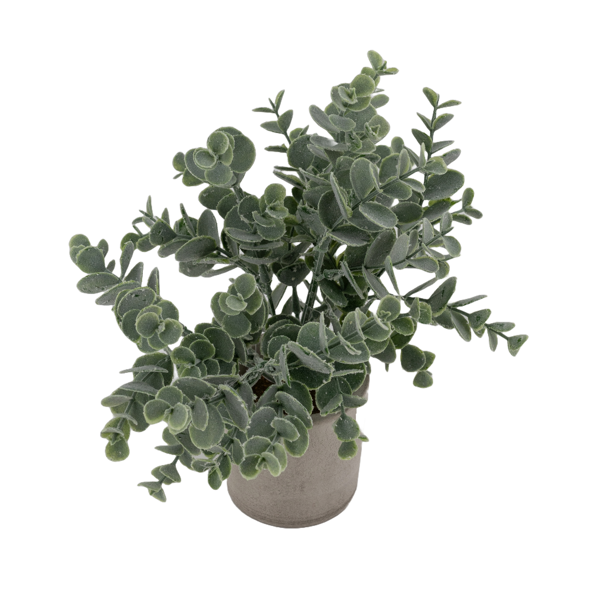 Projekt „Hintergrund entfernen“ (9)