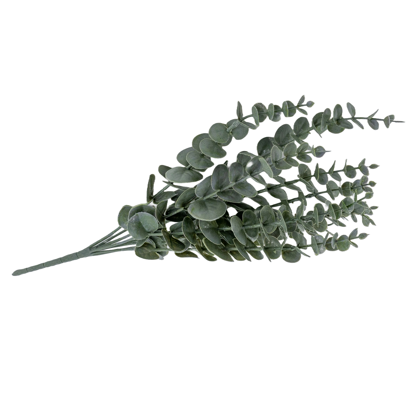 Projekt „Hintergrund entfernen“