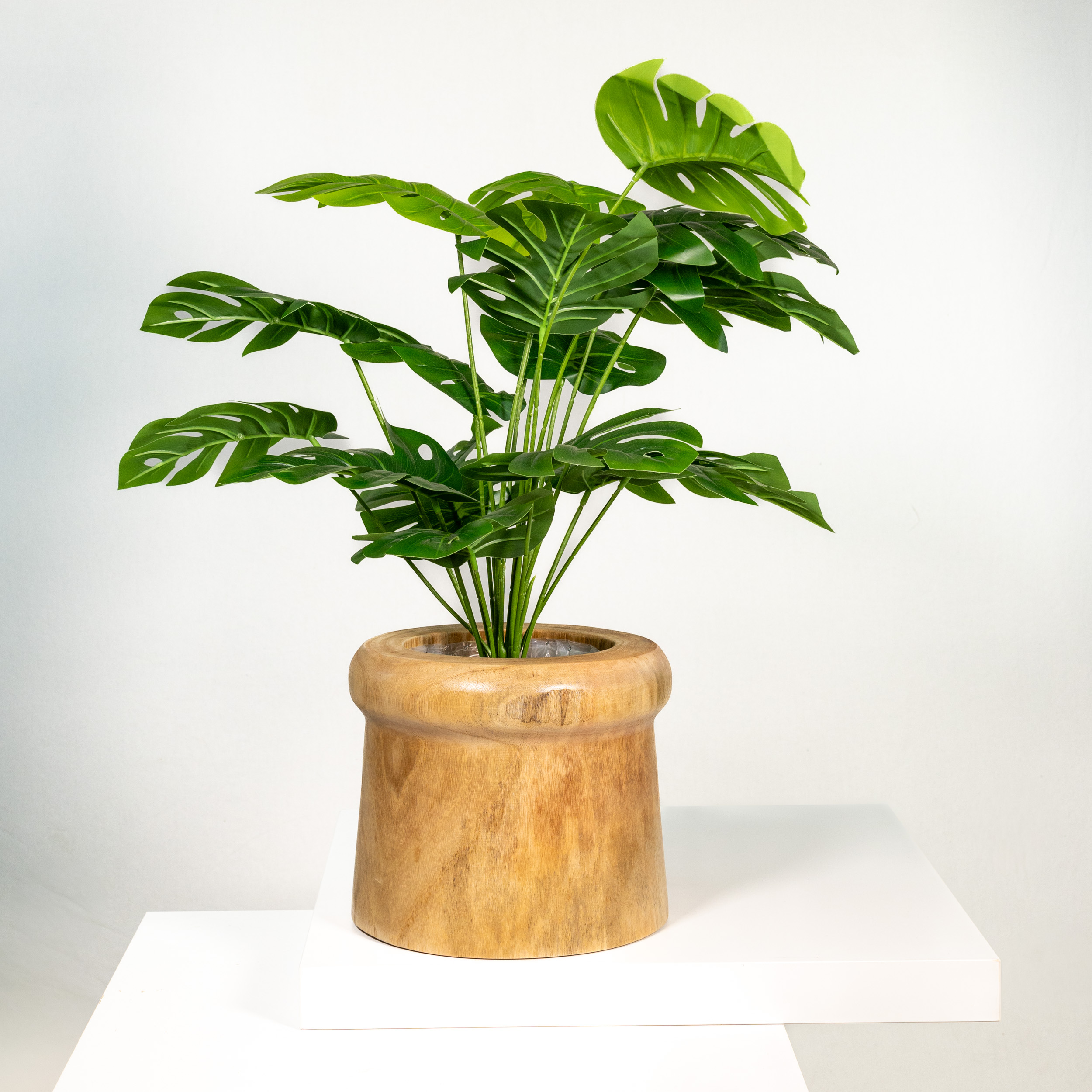 JG9A7018-1 JG9A7018-1