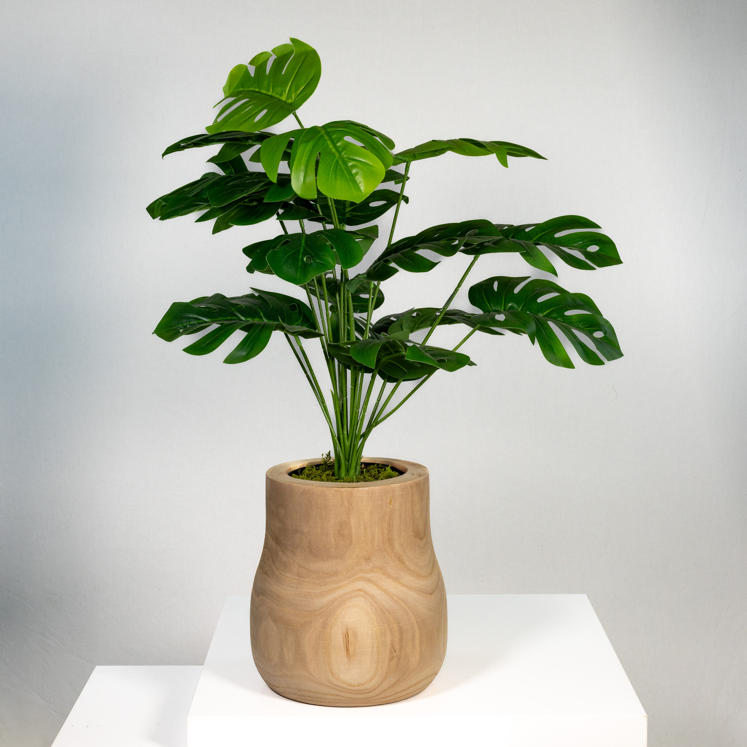 JG9A6998-3 JG9A6998-3