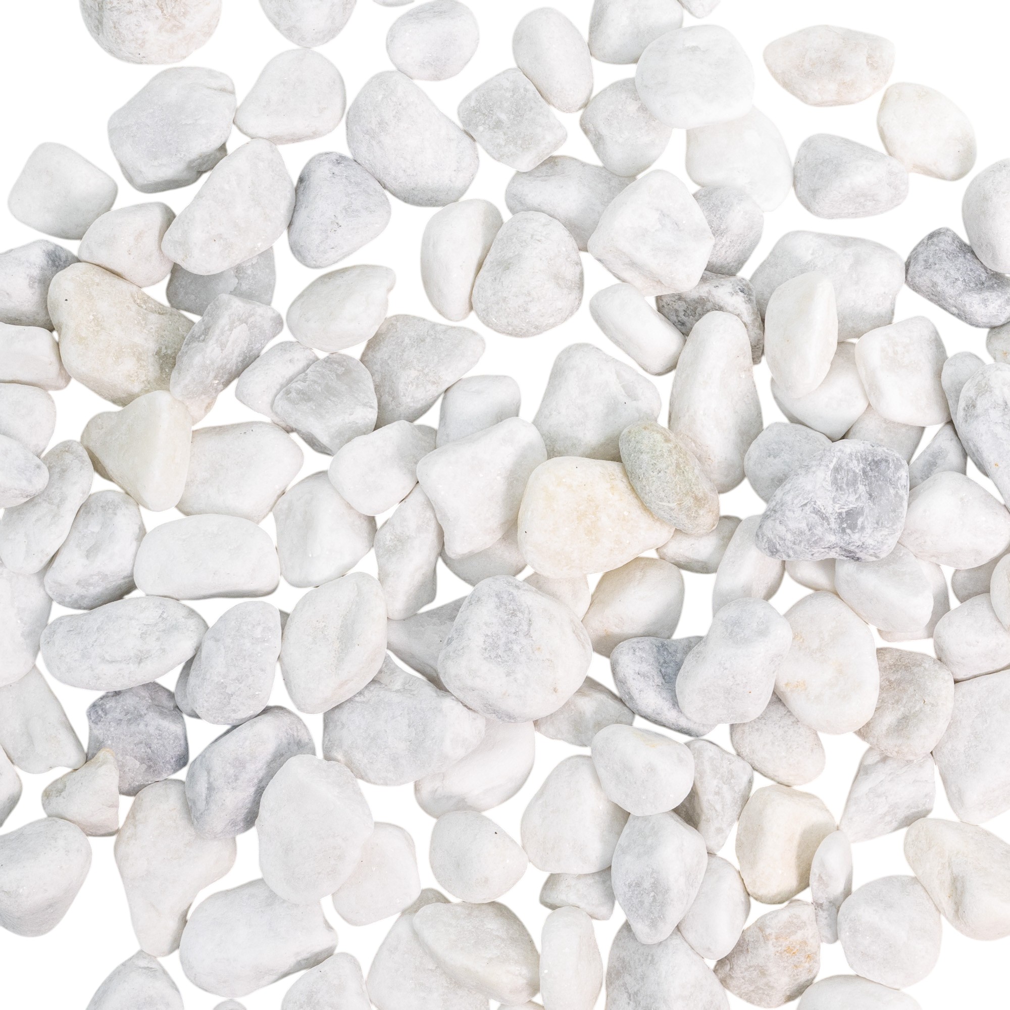 20240511-JG9A8117-Photoroom