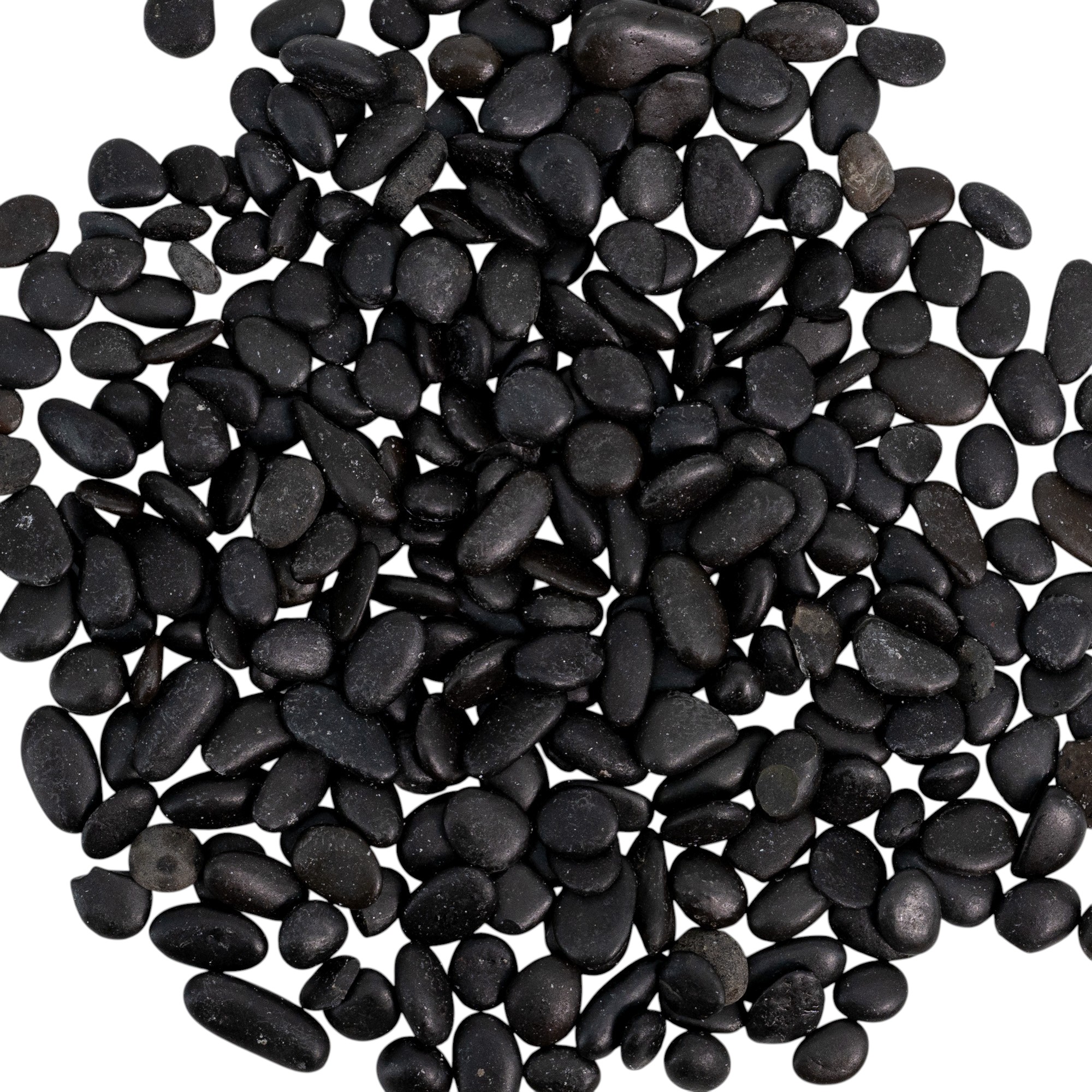 20240511-JG9A8080-Photoroom