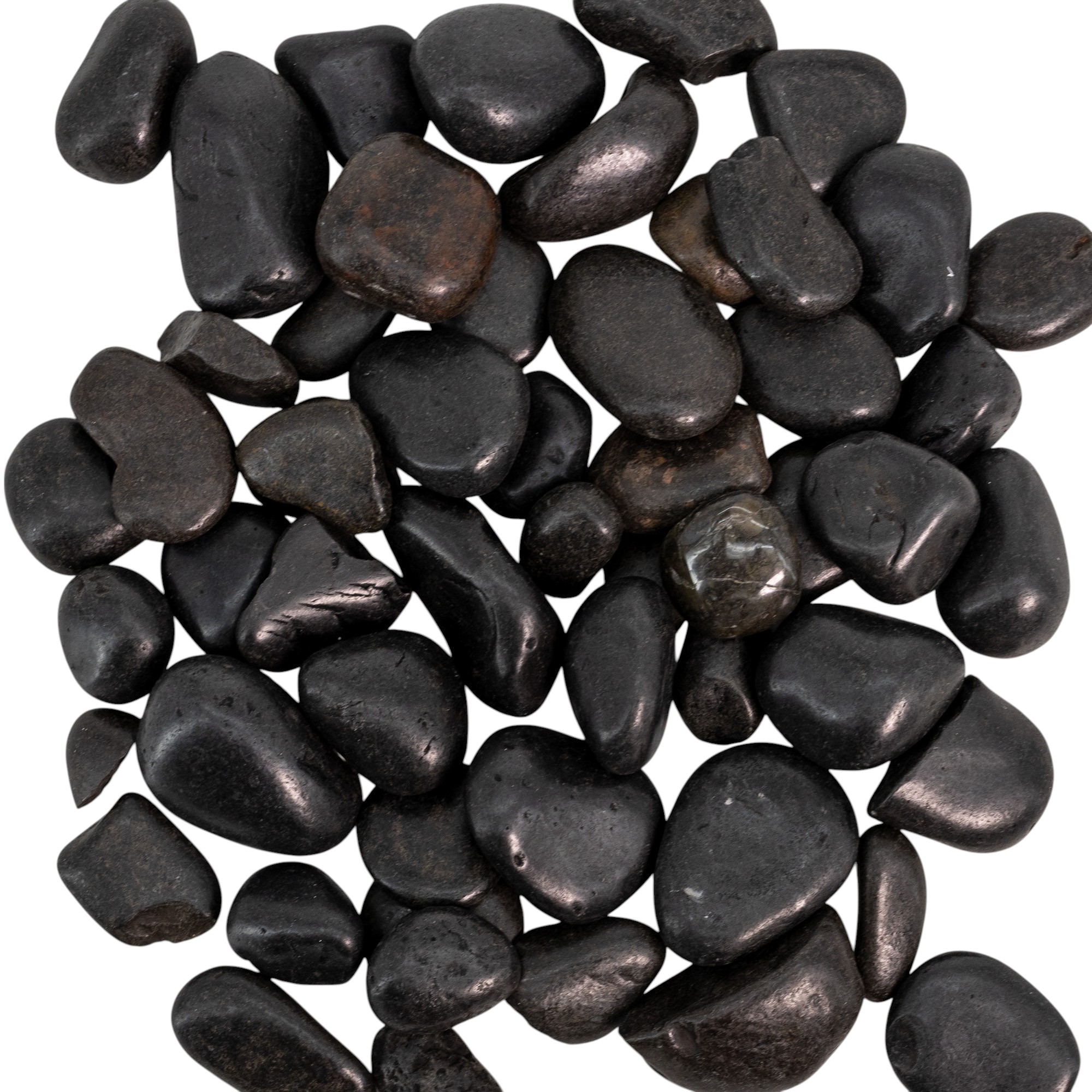 20240511-JG9A8100-Photoroom