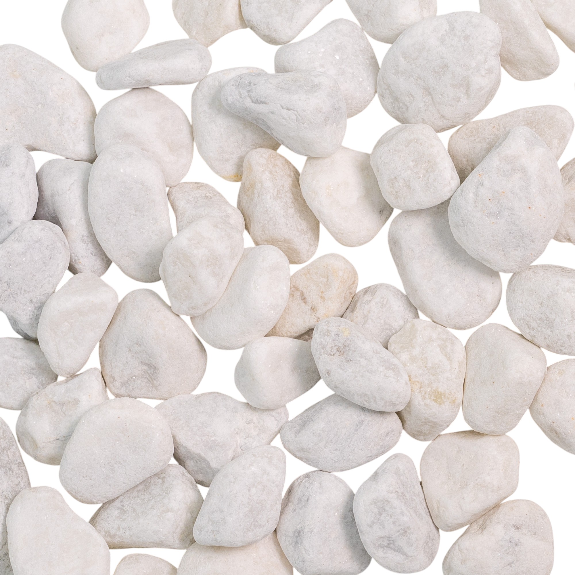 20240428-JG9A7949-Photoroom