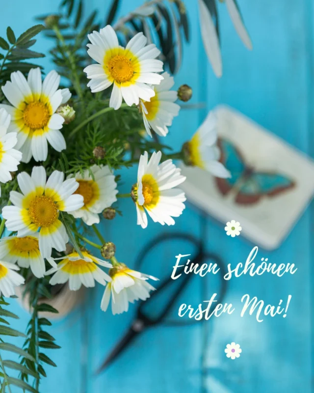 🌸 Frohen 1. Mai! 🌸

Heute feiern wir den Tag der Arbeit und all die Menschen, die mit ihrem Einsatz und ihrer Leidenschaft unsere Gesellschaft voranbringen. Ein großer Dank an alle, die täglich ihr Bestes geben – sei es im Beruf, im Ehrenamt oder in der Gemeinschaft!

Lasst uns diesen Tag nutzen, um gemeinsam auf die Bedeutung von Arbeit, Zusammenhalt und Solidarität aufmerksam zu machen. Genießt den Tag, entspannt euch und verbringt schöne Momente mit euren Liebsten! 💪✨

#TagDerArbeit #1Mai #Solidarität #Gemeinschaft #FeierDesLebens #endlichmai #endlichfrühling #Sommer #sonne